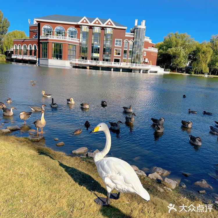 闹市中的仙境 零距离动物世界