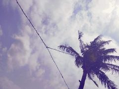 -白沙湾海滩