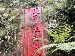 -赤水丹霞旅游区·大瀑布
