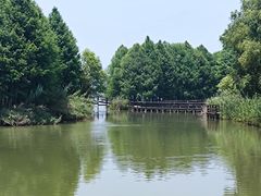 -苏州太湖国家湿地公园