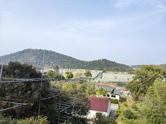 -树山生态村