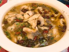 -东北王食府(科大店)
