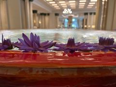 -广州富力丽思卡尔顿酒店