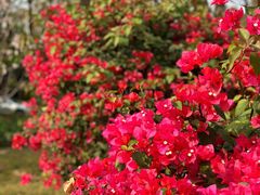 -文华公园(禅城区)