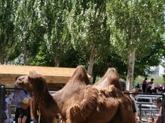 -长白岛森林公园