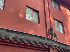 -黔灵山公园
