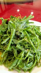 -百香合宴会中心(雁翔路店)