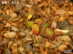 -太湖源风景区