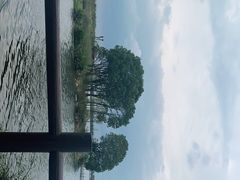 -鹅湖玫瑰文化园