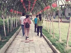 -武汉紫薇都市田园