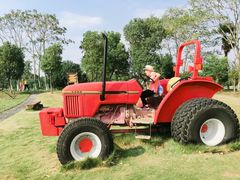 -太阳岛度假酒店