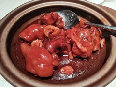 山楂焖猪脚-陶陶居酒家(新天地店)