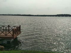 -丁香湖公园