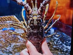 -雍容荟帝王蟹活龙虾展台自助(IFS黑金店)