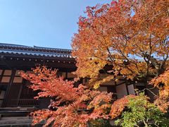 -常寂光寺