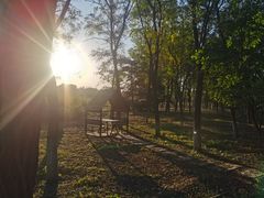 -大兴滨河森林公园