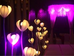 美雯婚庆企划-碧桂园凤凰城酒店(南京店)