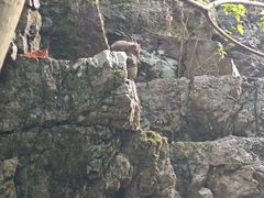 -九龙潭景区