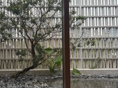 -东莞松山湖凯悦酒店