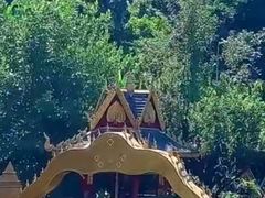 -西双版纳原始森林公园