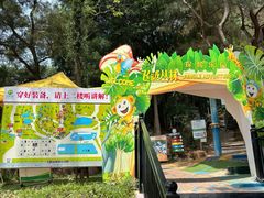 -芦仙山景区-飞越丛林探险乐园