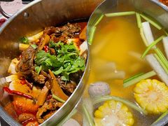秘制鲜牛腩鸳鸯锅-今日炊牛·潮汕牛肉火锅(华采天地店)