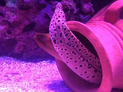 -沈阳海洋探索中心