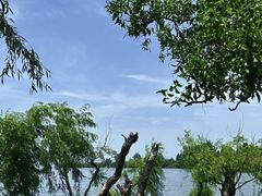 -捞渔河湿地公园