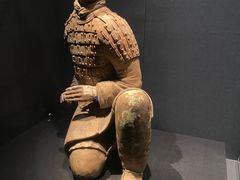 -陕西历史博物馆