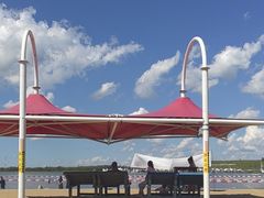 -呼兰河口湿地公园