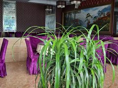 -代术连山回锅肉创始人餐厅(小学店)