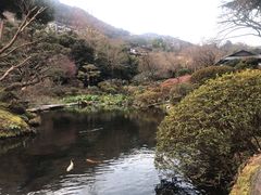 -ステーキハウス吉池