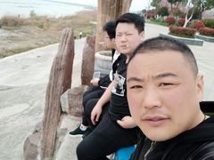 -合肥滨湖国家森林公园