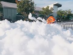 -季高兔窝窝亲子园(上海薰衣草公园店)