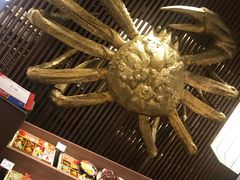 -蟹将军·松叶蟹和牛日料放题自助(K11店)