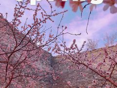 -北京明城墙遗址公园