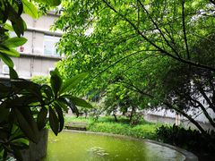 -西南政法大学(沙坪坝校区)