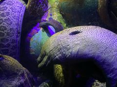 -太平洋海底世界