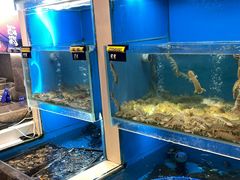 -赶海部落海鲜城(海阳路店)