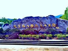 -北京西山国家森林公园