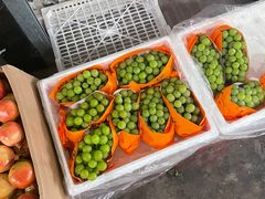 -曼阁市场水果批发市场