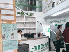 -爱侣宠医·鹦鹉专科·小型哺乳类·异宠专科(灵石路店)