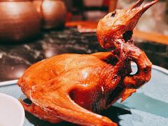 红烧乳鸽-大鸽饭(北京路店)