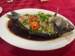 -先鲜鲫鱼粥