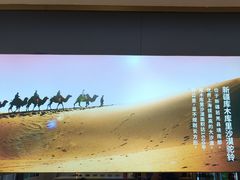 -西域胡氏大盘鸡(谈固店)