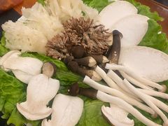 -双合福火锅(河北路店)