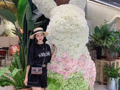 -PlantsEatery·植物食堂(REX春熙店)