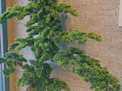 -严记小天府酸菜鱼(西四路店)