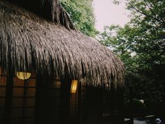 -中国茶叶博物馆(双峰馆区)