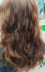 -镁连社·美联社